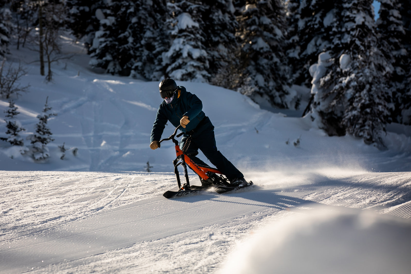 Snow Gotrack Skis In Snow