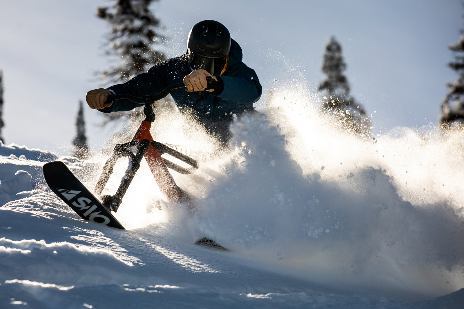 Buyer's Guide – SNO-GO Ski Bikes