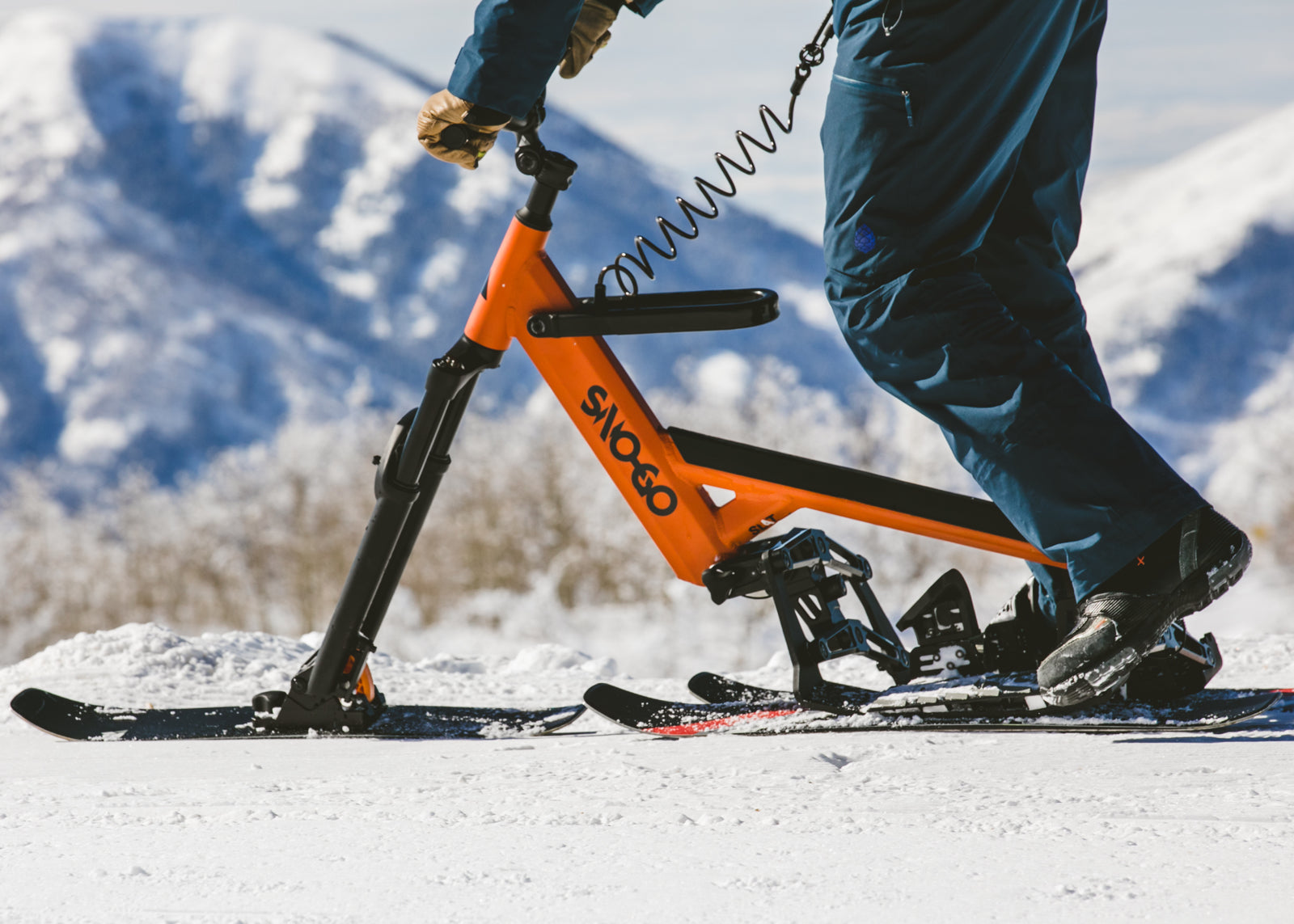 Buyer's Guide – SNO-GO Ski Bikes
